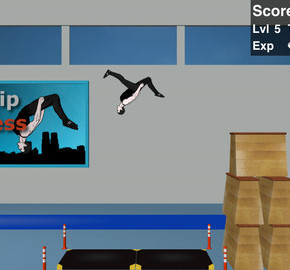 Backflip Madness