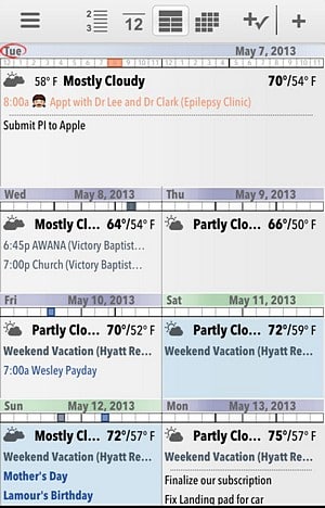 pocket informant review